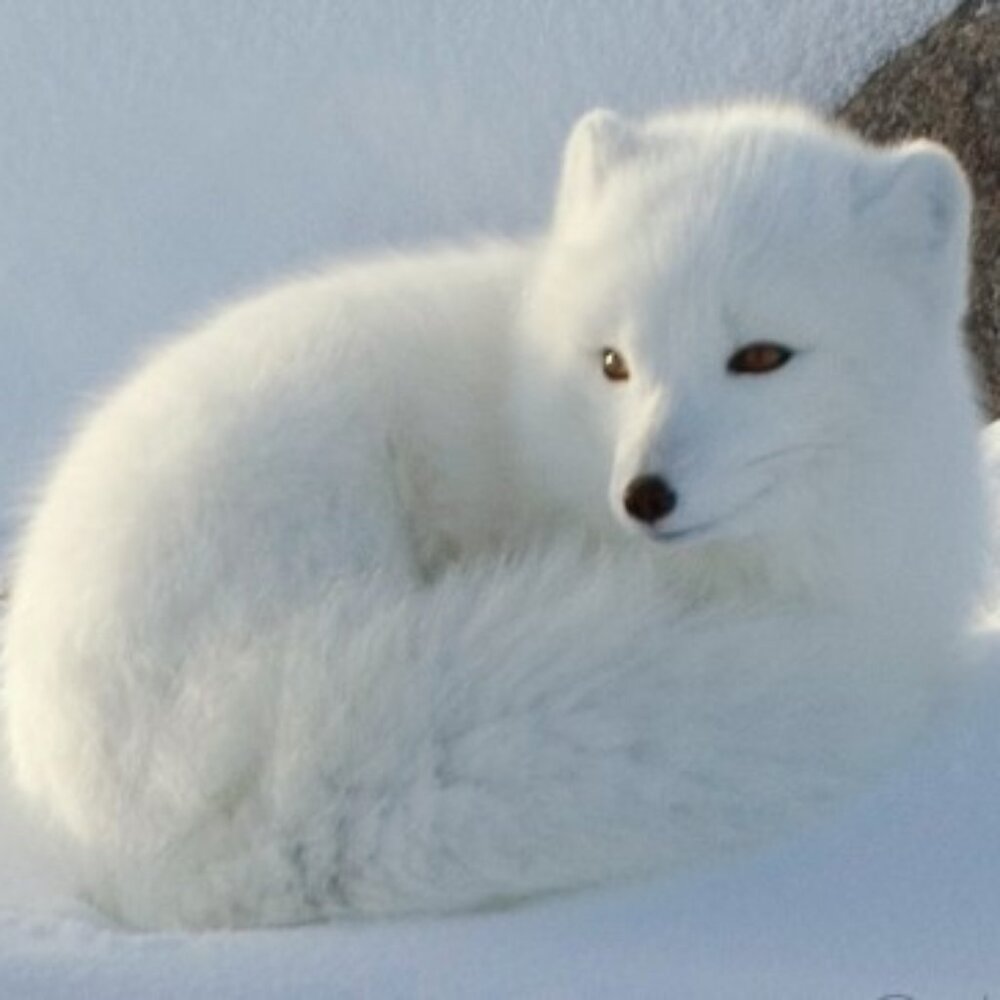 Meet your Posher, Cathy